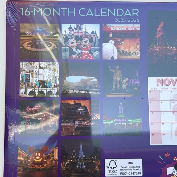 Disney Disneyland Resort 2026 Monthly Calendar - Picture 6 of 11